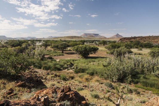 NAMIBIA – Zwischen Springböcken und Spitzmaulnashörnern