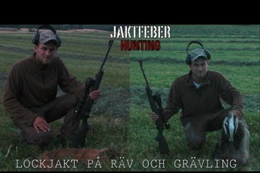 JAKTFEBER Lockjakt på Räv & Grävling. Del 1.