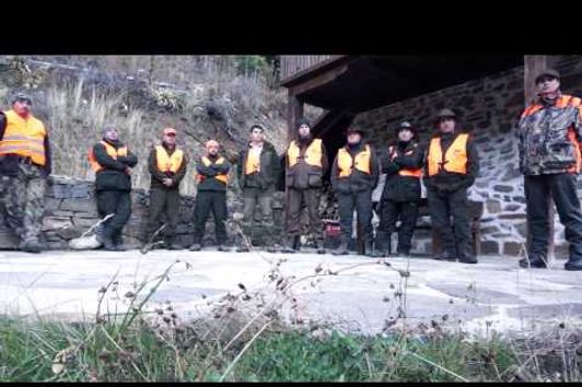 Wild Boar Driven Hunting in Bulgaria