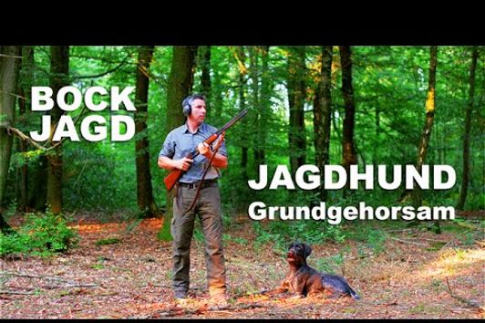 JAGD TOTAL Folge 2 | Jagdhunde-Training und Bockjagd