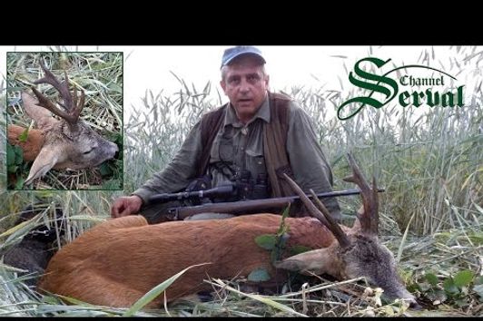 Hunting atypical Roebuck in Croatia - Jagd auf Rehbock mit abnormen Gehörn