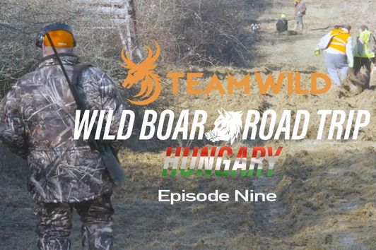 Wild Boar Hunting: Driven Hunting in Hungary with Steve Wild