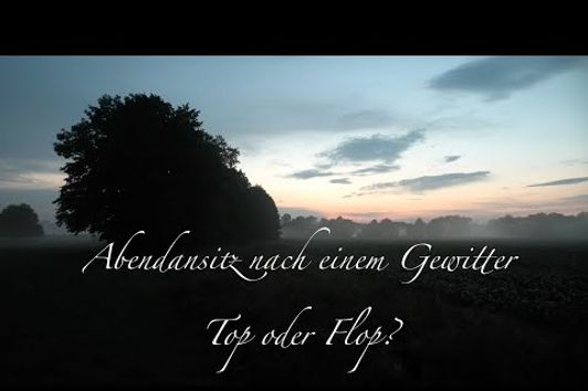 Abendansitz nach einem Gewitter - Top oder Flop?