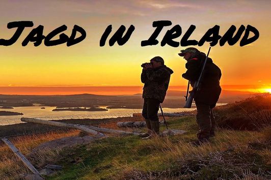 Jagd in Irland - Sika, Highlands und das Gold of Kerry, Part 1