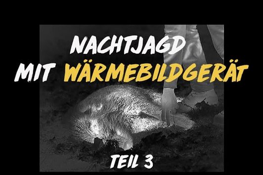 Nachtschicht: Jagd mit der Wärmebildkamera #3