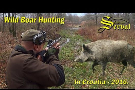 Wild boar hunting in Croatia 2016 - part 2 - Drückjagd in Kroatien 2016