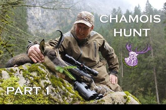 CHAMOIS HUNTING IN THE ALPS!
