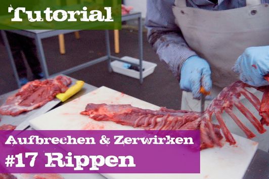 #17 Rippen - Schwarzwild - Lehrgang Aufbrechen & Zerwirken