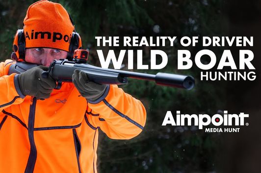 The reality of driven wild boar hunting... 🐗