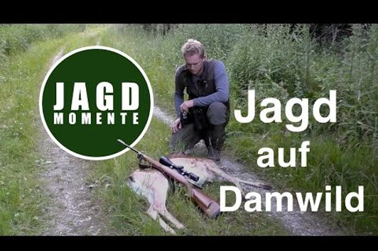 JagdMomente | Folge 3 | Jagd auf Damwild und Reh im Frühsommer