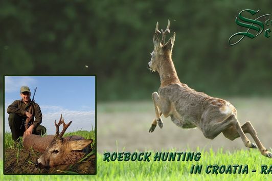 Roebock hunting in Croatia - Rasinja - Rehbockjagd in Kroatien