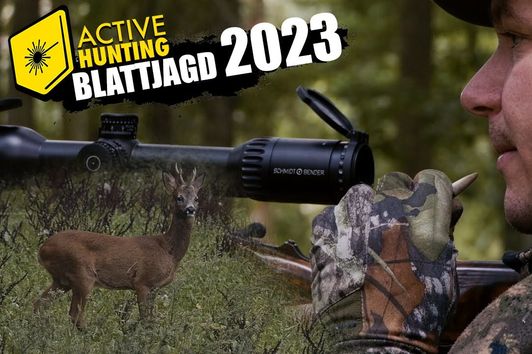 Blattjagd 2023 - Auf Rehbockjagd in Oberfranken und der Pfalz