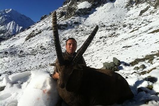 Ibex hunting - Switzerland