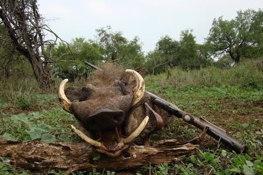 Best of hunting in Africa - Top10 Shots - part1 - Selective hunt