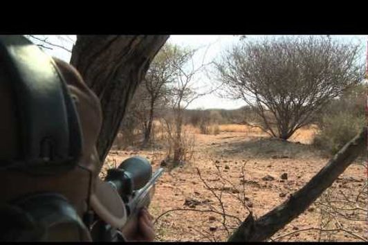 Hunting in Namibia by Mikael Tham.