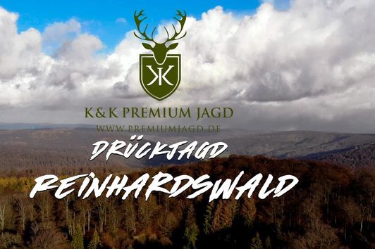 Drückjagd Reinhardswald Hessen 2018 - Der Teufel ist ein Eichhörnchen