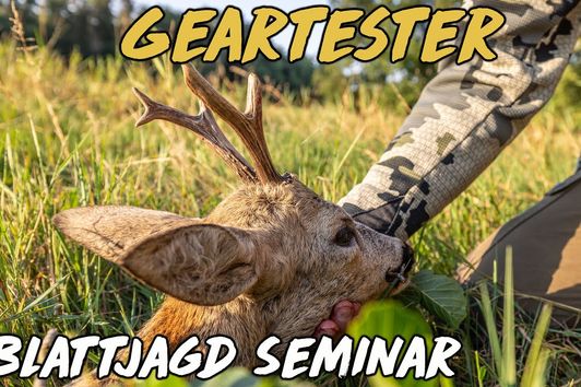 Geartester - Blattjagd Seminar