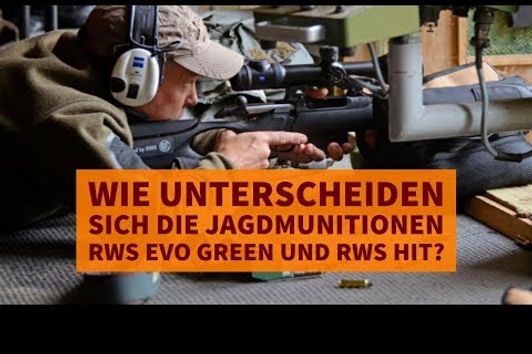 RWS Jagdmunition: Wie unterscheiden sich die Büchsenpatronen RWS EVOLUTION Green und RWS HIT?