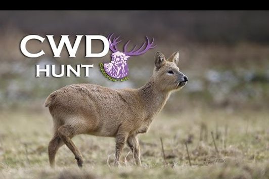 THE CHINESE WATER DEER HUNT