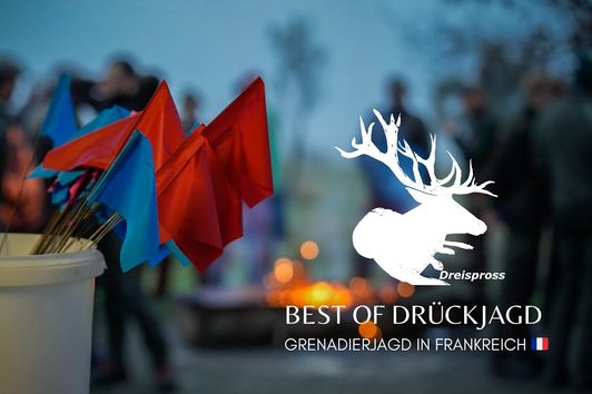 BEST OF DRÜCKJAGD - Grenadierjagd in Frankreich