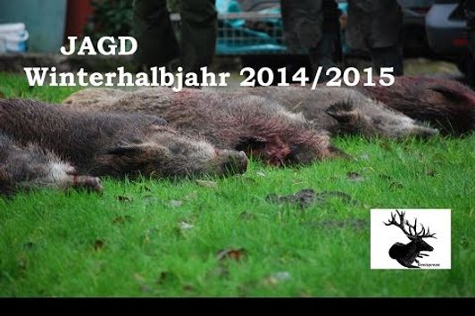 Jagd Winterhalbjahr 2014/15