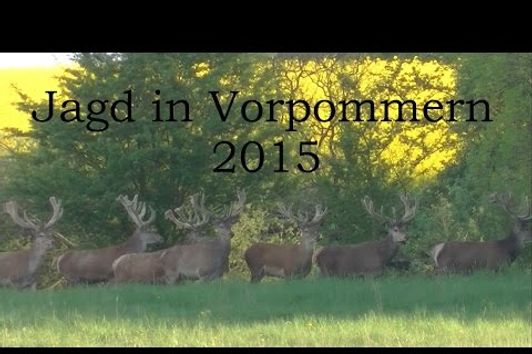 Jagd in Vorpommern 2015