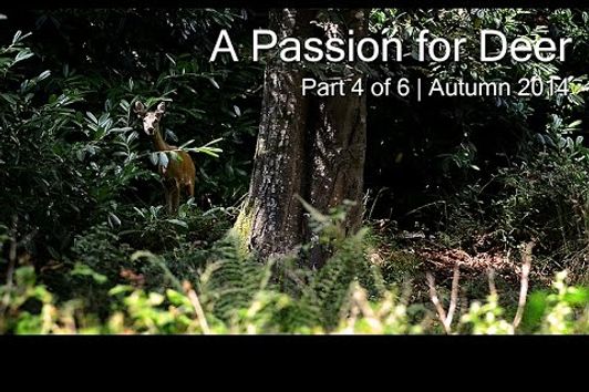 A Passion for Deer - Part 4 of 6