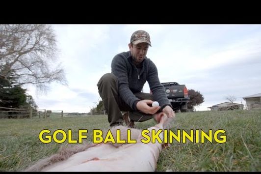 Skinning a Deer with a Golf Ball and an Amarok