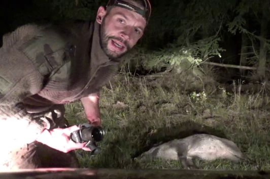 WILDSCHWEINJAGD MIT NACHTSICHT UND WÄRMEBILD #Wildboar #Flir #www.waldlaufershop.de