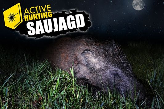 Saujagd mit Active Hunting - Der blinde Überläufer Keiler