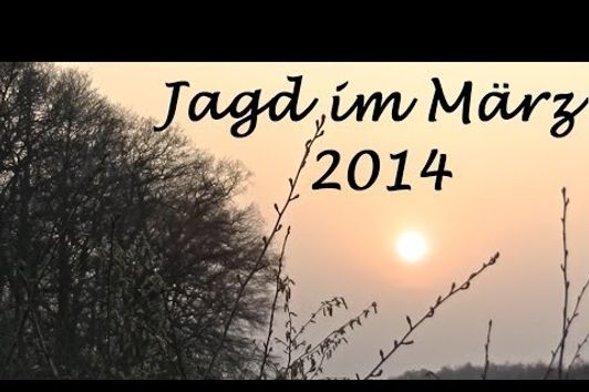 Jagd März 2014