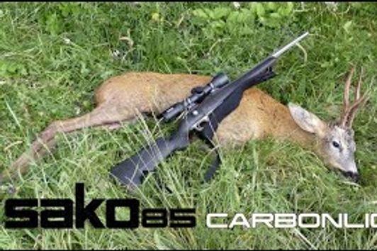 Bockjagd in Slowenien / Hunting Roebucks in Slovenia 4K