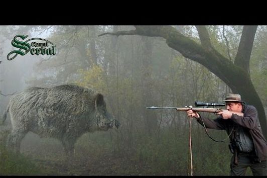 Wild Boar Hunting in Baranya –Part 2.- Perfect shots; Wildschweinejagd -Pirsch in Baranja - 2