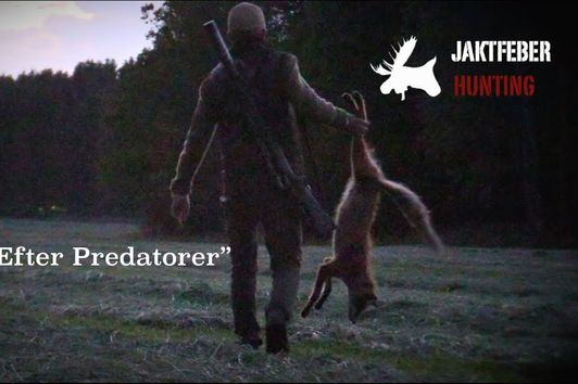 JAKTFEBER "Jakt Efter Predatorer"