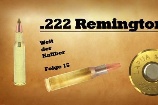 .222 Remington - Welt der Kaliber , Folge 15