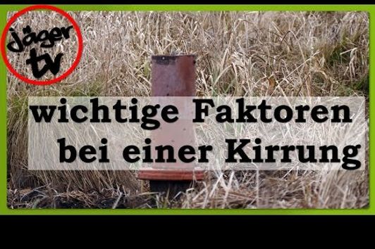 wichtige Faktoren bei einer Kirrung