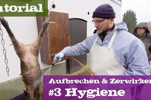 #3 Hygiene - Lehrgang Aufbrechen & Zerwirken