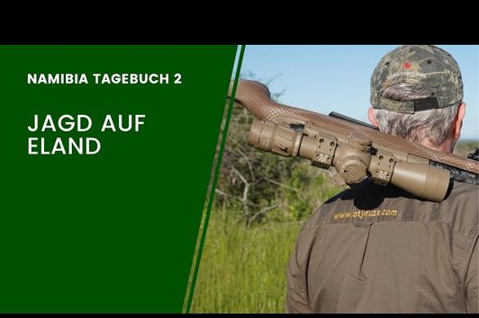 Die Jagd auf den Eland Bullen - Waldfein in Afrika - Teil 2