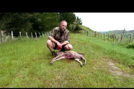 Turning a Deer into a Backpack