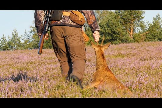 Rote Böcke, Lila Heide - Jagen fürs Herz