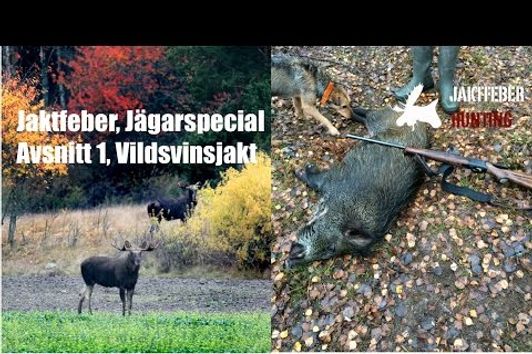 JAKTFEBER, Jägarspecial (Avsnitt 1) Vildsvinsjakt.