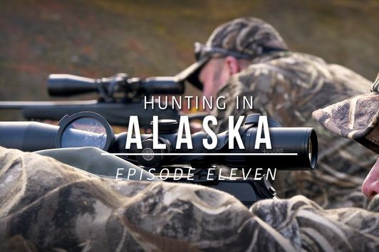 Hunting Grizzly Bear and Barren Ground Caribou in Alaska