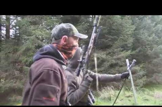 Roebuck hunting in Scotland - part 1