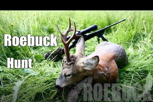 7mm Rem Mag vs buck/  Roebuck hunting 2017/ Bockjagd 2017