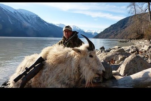 Schneeziege-Jagen-Kanada - hunting snowgoat BC  - WH Jagd