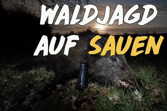 Nachtschicht: Waldjagd auf Sauen