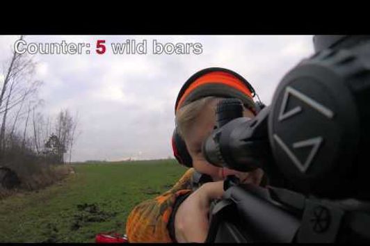 Driven Wild boar and Deer Hunting in Zmigrod - Poland - GoPro Action