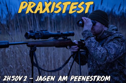 Praxistest Zoom ZH50v2 - Jagen am Peenestrom