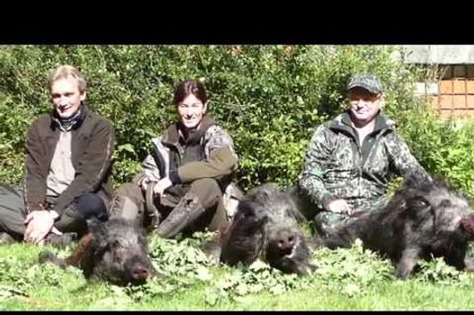 Bockjagd und Jagd auf Schwarzwild in Polen (Pommern) 2016, Teil 2 mit dem Oldenburger Jagdcenter