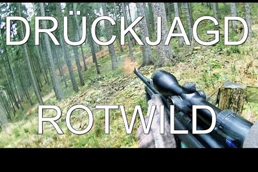 Drückjagd - Driven Hunt - Rotwild ohne Ende